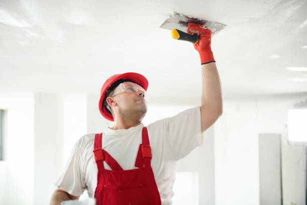 Best Ceiling Drywall Installation  in Nazareth, PA